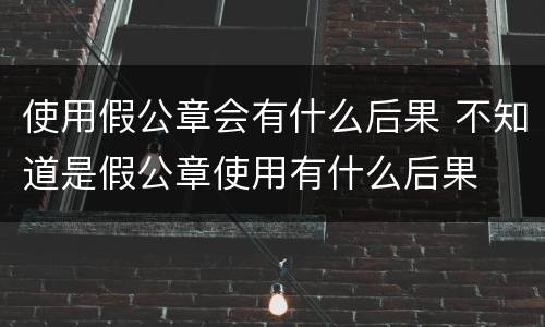 使用假公章会有什么后果 不知道是假公章使用有什么后果