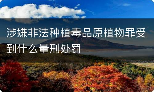 涉嫌非法种植毒品原植物罪受到什么量刑处罚