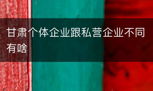 甘肃个体企业跟私营企业不同有啥