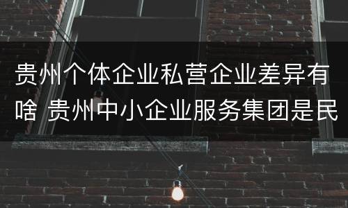 贵州个体企业私营企业差异有啥 贵州中小企业服务集团是民营