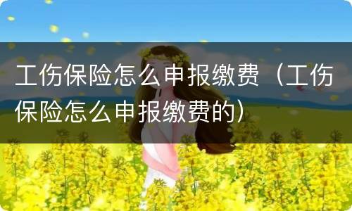 工伤保险怎么申报缴费（工伤保险怎么申报缴费的）