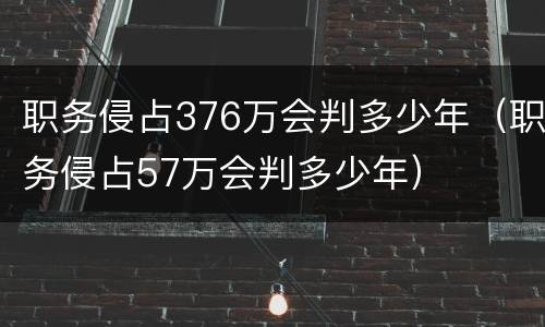 职务侵占376万会判多少年（职务侵占57万会判多少年）