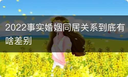 2022事实婚姻同居关系到底有啥差别