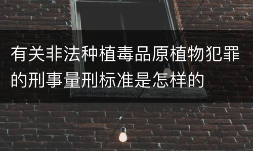 有关非法种植毒品原植物犯罪的刑事量刑标准是怎样的