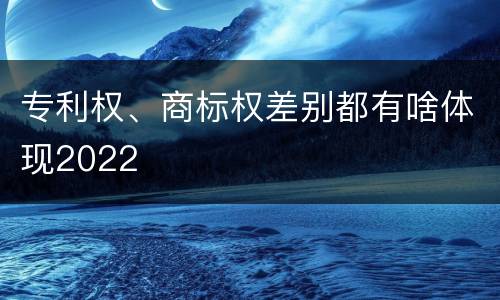 专利权、商标权差别都有啥体现2022