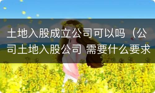 土地入股成立公司可以吗（公司土地入股公司 需要什么要求）