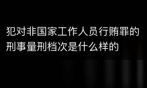 犯对非国家工作人员行贿罪的刑事量刑档次是什么样的