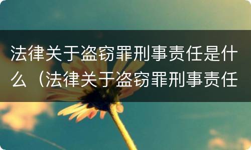 法律关于盗窃罪刑事责任是什么（法律关于盗窃罪刑事责任是什么意思）