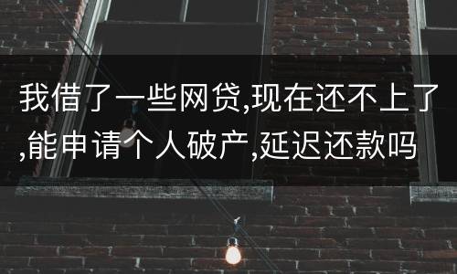 我借了一些网贷,现在还不上了,能申请个人破产,延迟还款吗