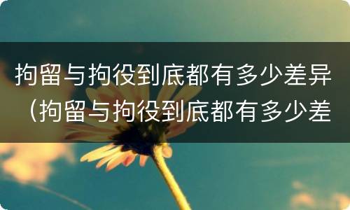 拘留与拘役到底都有多少差异（拘留与拘役到底都有多少差异呢）