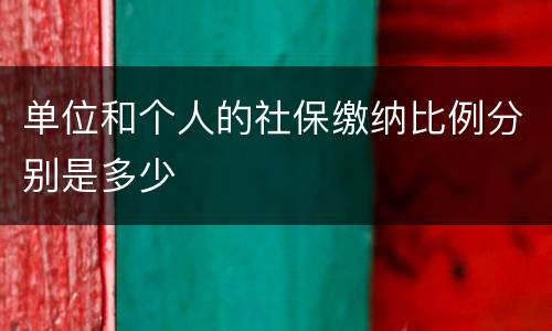 单位和个人的社保缴纳比例分别是多少