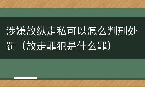 涉嫌放纵走私可以怎么判刑处罚（放走罪犯是什么罪）