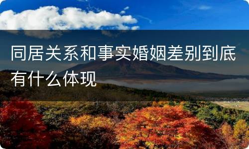 同居关系和事实婚姻差别到底有什么体现