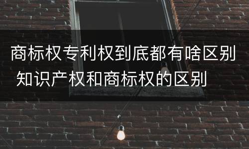 商标权专利权到底都有啥区别 知识产权和商标权的区别