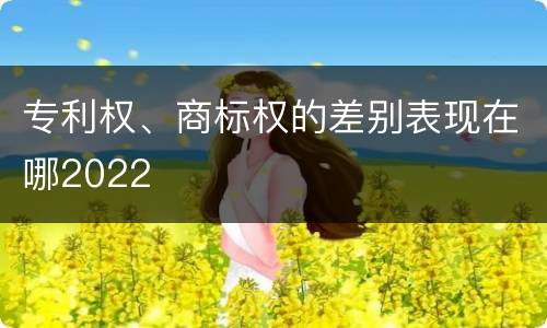 专利权、商标权的差别表现在哪2022