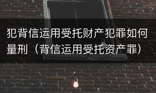犯背信运用受托财产犯罪如何量刑（背信运用受托资产罪）