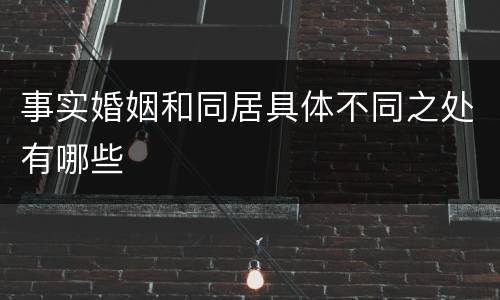 事实婚姻和同居具体不同之处有哪些
