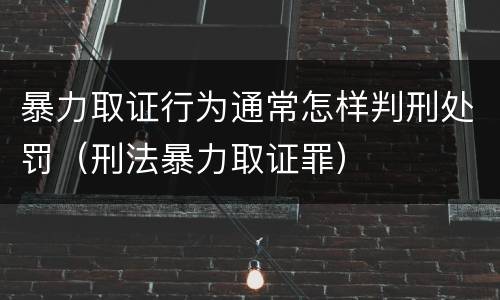 暴力取证行为通常怎样判刑处罚（刑法暴力取证罪）