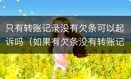 只有转账记录没有欠条可以起诉吗（如果有欠条没有转账记录可以起诉?）