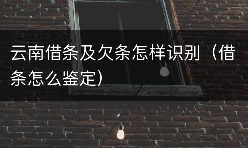 云南借条及欠条怎样识别（借条怎么鉴定）