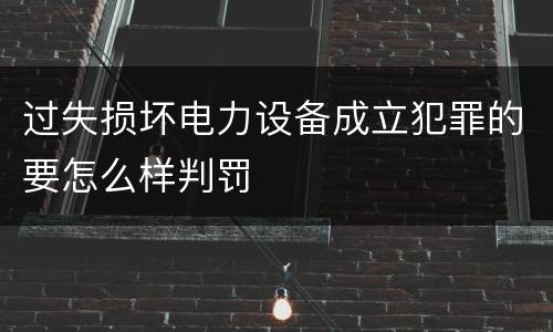 过失损坏电力设备成立犯罪的要怎么样判罚