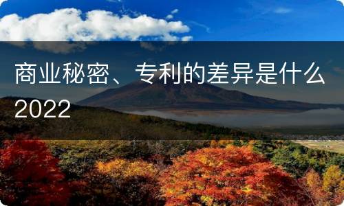 商业秘密、专利的差异是什么2022