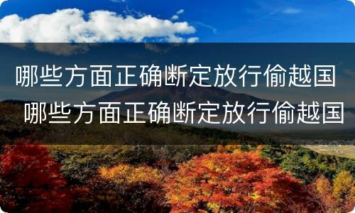 哪些方面正确断定放行偷越国 哪些方面正确断定放行偷越国货物