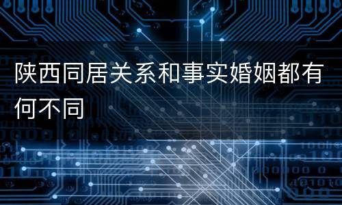 陕西同居关系和事实婚姻都有何不同