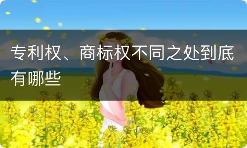 专利权、商标权不同之处到底有哪些