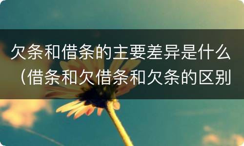 欠条和借条的主要差异是什么（借条和欠借条和欠条的区别）