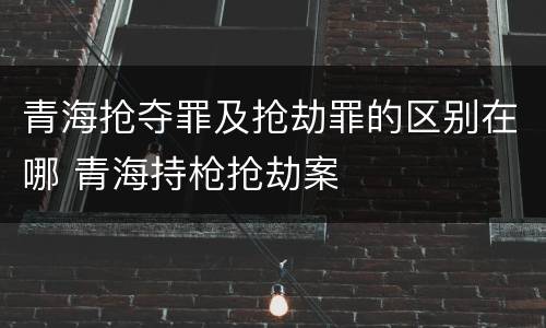 青海抢夺罪及抢劫罪的区别在哪 青海持枪抢劫案