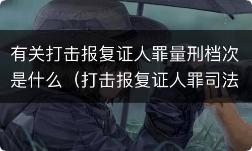 有关打击报复证人罪量刑档次是什么（打击报复证人罪司法解释）