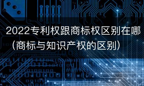 2022专利权跟商标权区别在哪（商标与知识产权的区别）