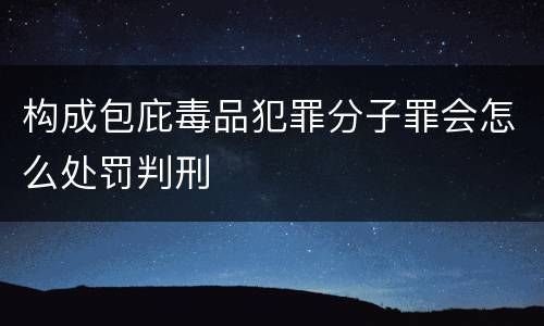 构成包庇毒品犯罪分子罪会怎么处罚判刑