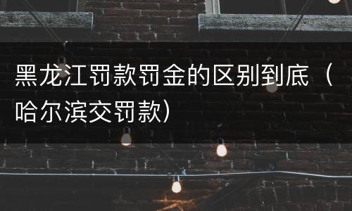 黑龙江罚款罚金的区别到底（哈尔滨交罚款）