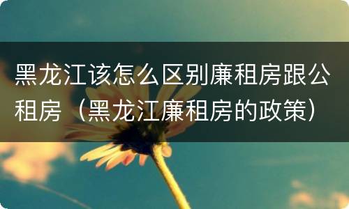 黑龙江该怎么区别廉租房跟公租房（黑龙江廉租房的政策）