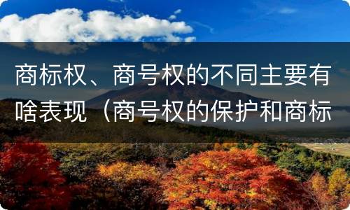 商标权、商号权的不同主要有啥表现（商号权的保护和商标权的保护一样是全国性范围的）