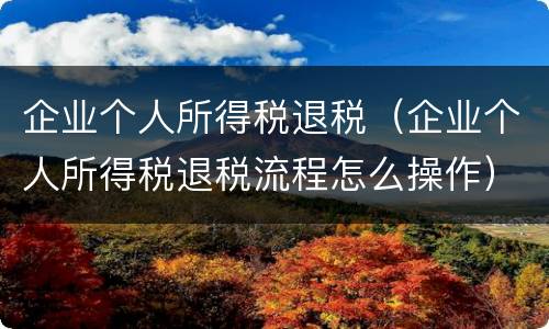 企业个人所得税退税（企业个人所得税退税流程怎么操作）