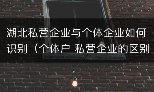 湖北私营企业与个体企业如何识别（个体户 私营企业的区别）