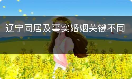 辽宁同居及事实婚姻关键不同