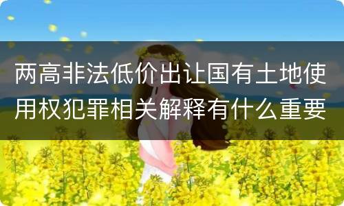 两高非法低价出让国有土地使用权犯罪相关解释有什么重要内容