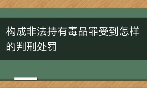 构成非法持有毒品罪受到怎样的判刑处罚