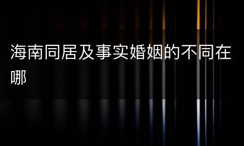 海南同居及事实婚姻的不同在哪