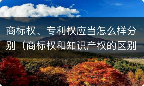 商标权、专利权应当怎么样分别（商标权和知识产权的区别）