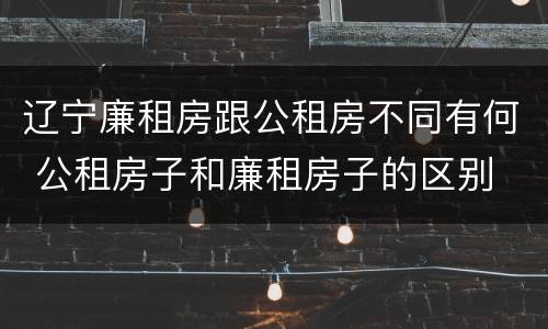 辽宁廉租房跟公租房不同有何 公租房子和廉租房子的区别