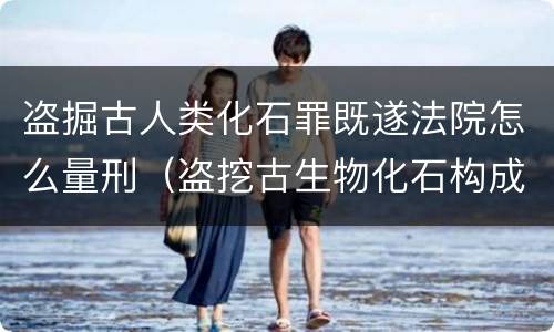 盗掘古人类化石罪既遂法院怎么量刑（盗挖古生物化石构成何罪）