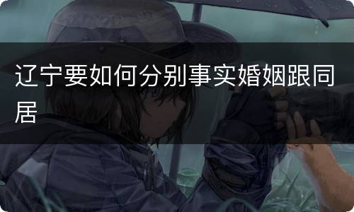 辽宁要如何分别事实婚姻跟同居