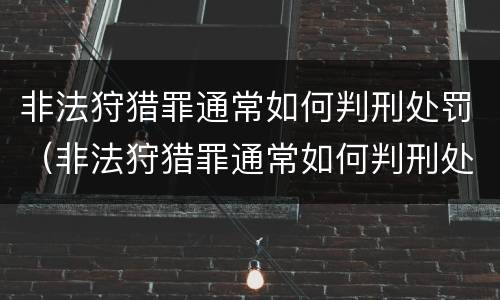 非法狩猎罪通常如何判刑处罚（非法狩猎罪通常如何判刑处罚的）