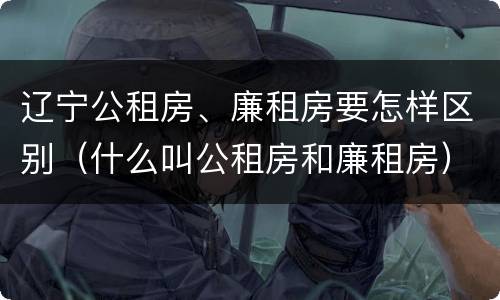 辽宁公租房、廉租房要怎样区别（什么叫公租房和廉租房）