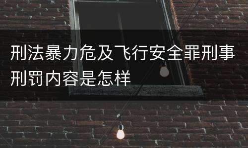 刑法暴力危及飞行安全罪刑事刑罚内容是怎样